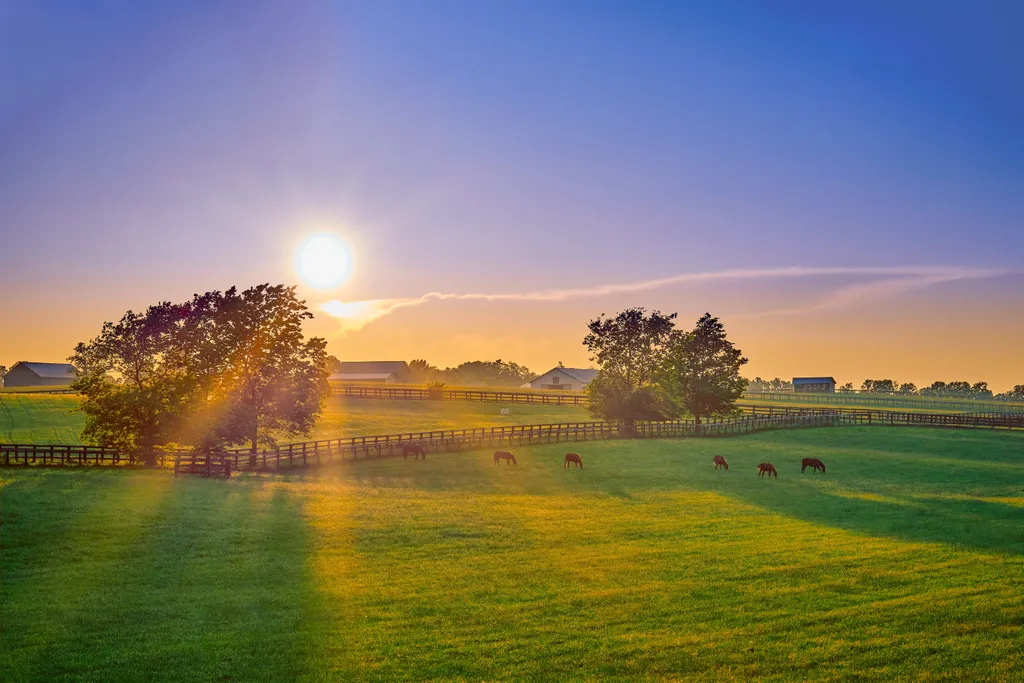 Christie’s International Real Estate Plans Caribbean Expansion Through New Master License Agreement